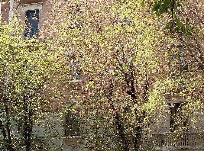 Apartamento Magnolia *